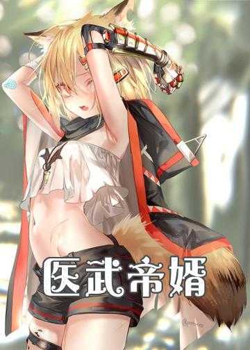 医武贤婿小说免费版_医武帝婿