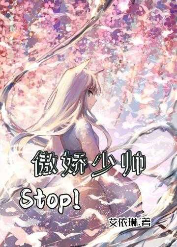 傲娇少帅，Stop！