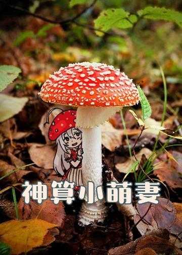 神算五岁半：糯米团子萌翻天小说