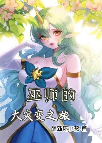 我在巫师世界的生活小说