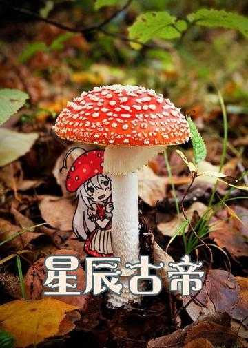 吞噬古帝小说免费