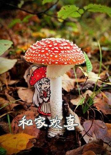 一家欢喜几家愁免费小说