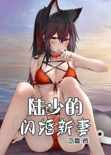 陆少的闪婚新妻