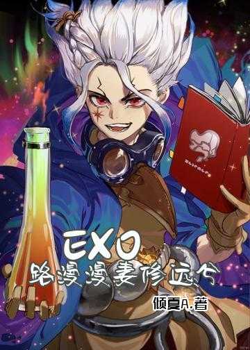 EXO：路漫漫妻修远兮