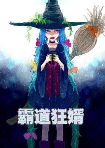 霸道狂婿