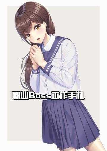 职业Boss工作手札